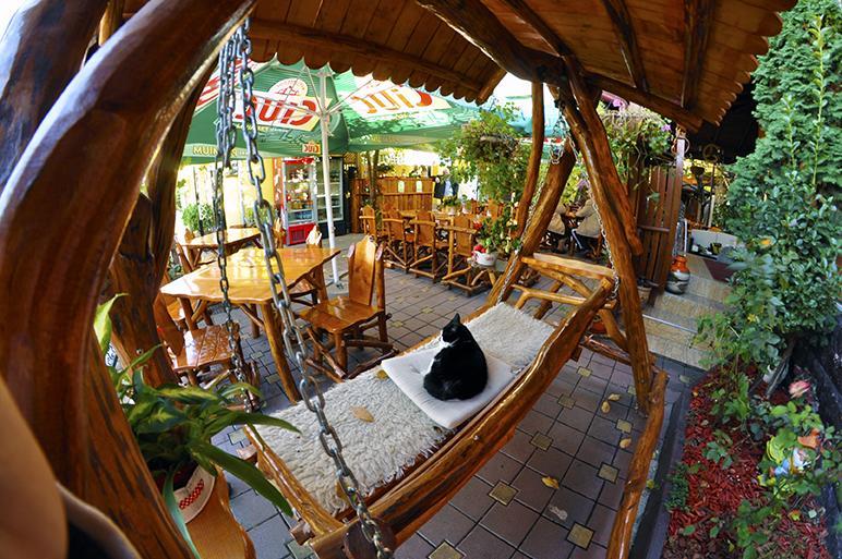 Casa Belazur Hotel Deva Exterior photo
